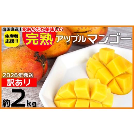 ふるさと納税 マンゴー 沖縄県 大宜味村 2026年発送 生産者応援 訳ありだが美味しい完熟アップルマンゴー約2kg 農園直送 訳アリ 先行予約 沖縄 甘味 糖度 濃…