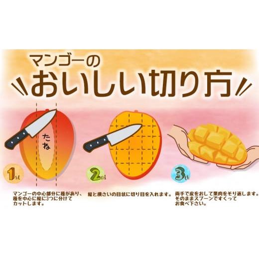 ふるさと納税 沖縄県 大宜味村 最高級　常夏アップルマンゴー！糖度17度以上　約5kg【2024年発送】農園から直送 最高級 先行予約 沖縄 甘味 糖度 濃厚 美味し…｜furusatochoice｜06