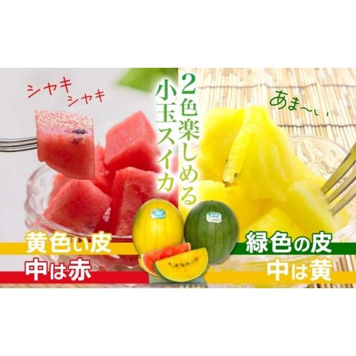 ふるさと納税 スイカ 北海道 月形町 小玉 2種 セット 夏の日と緑 2