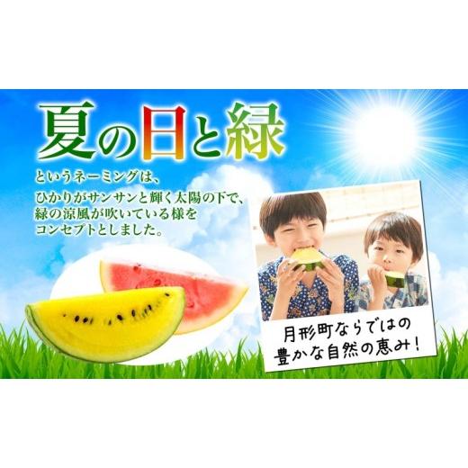 ふるさと納税 スイカ 北海道 月形町 小玉 2種 セット 夏の日と緑 2