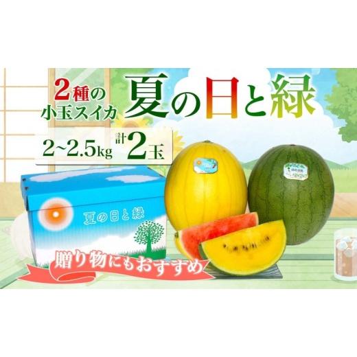 ふるさと納税 スイカ 北海道 月形町 小玉 2種 セット 夏の日と緑 2