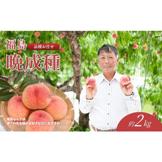 ふるさと納税 もも 福島県 福島市 No.2407福島 桃 晩成種約2kg 2026年発送 先行予約の画像