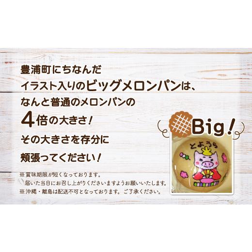 ふるさと納税 北海道 豊浦町 北海道 豊浦 ビックメロンパン おまかせパン12個セット 【ふるさと納税 人気 おすすめ ランキング 加工食品 パン食パン ロールパ…｜furusatochoice｜03