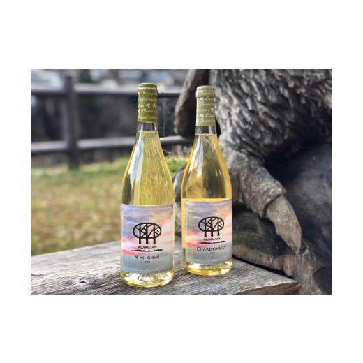 【希少】 ふるさと納税 山梨県 丹波山村 【2本セット】【初めてのALL YAMANASHI】2021丹波山ワイン【シャルドネ】【甲州】 【TMF6529431669】(23000円)