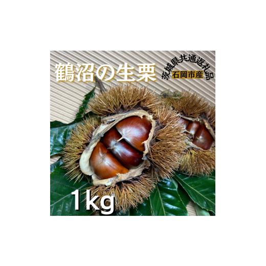 ふるさと納税 果物類 栗 茨城県 利根町 石岡鶴沼の 生栗 1kg(茨城県共通返礼品・石岡市産) / 栗 くり クリ 生栗 和栗 1kg 秋の味覚 利根町 送料無料 1kg