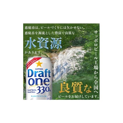 ふるさと納税 ビール 北海道 恵庭市 『定期便：全4回』 ドラフトワン330ml×24本 300090261904の画像
