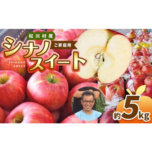 ふるさと納税 りんご 長野県 松川村 家庭用 シナノスイート 約5kg 2026年先行予約 | 北條農園 家庭用 果物類 林檎 りんご リンゴ シナノスイート シナノ3兄弟 …
