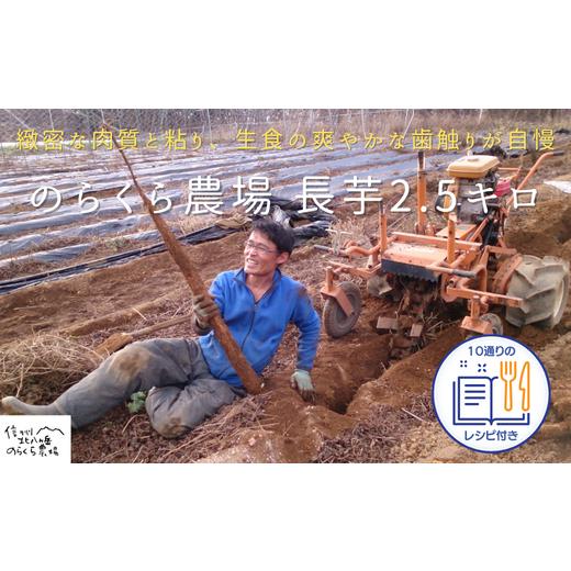 ふるさと納税 人参・大根・他根菜 長野県 佐久穂町 味に自信あり 北八ヶ岳の長芋 2.5キロ レシピ付き[NK-111]