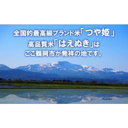 店内の商品は在庫 ふるさと納税 山形県 鶴岡市 【令和5年産】 特別栽培米 つや姫 無洗米 10kg (5kg×2袋) 山形県鶴岡市産 【JA庄内たがわ】 【ふるさと納税】