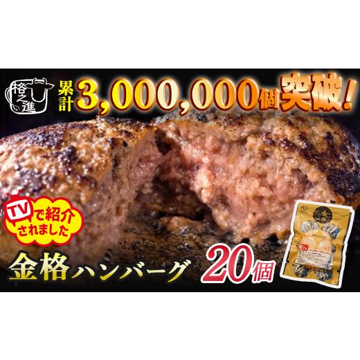 ふるさと納税 加工品等 岩手県 一関市 ＼TVで紹介されました / [格之進]金格ハンバーグ 20個 ハンバーグ 無添加 個包装 惣菜 おかず お弁当 調理済 簡単調…