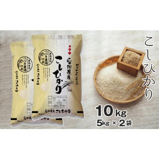 ふるさと納税 米 コシヒカリ 愛知県 阿久比町 白米 令和7年産 つづき農場のコシヒカリ 10kg / コシヒカリ 白米 令和7年産 ごはん 炊き立て 甘み ふっくら 米…