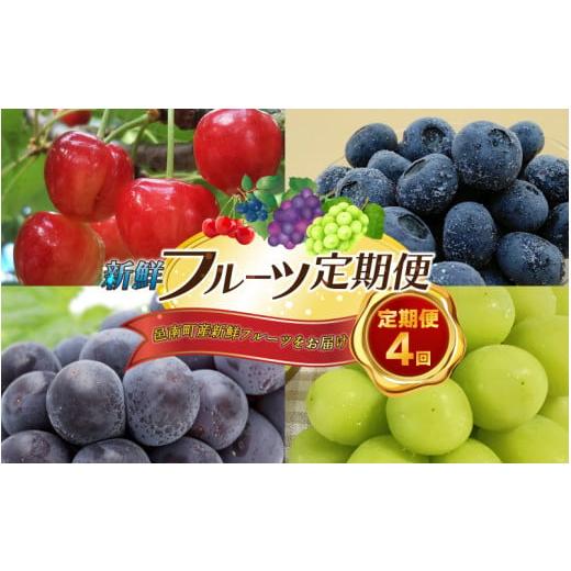 ふるさと納税 果物の詰合せ 島根県 邑南町 先行予約 数量限定 新鮮フルーツの定期便 年4回お届け(さくらんぼ佐藤錦、冷凍ブルーベリー、ピオーネ、シャイン…