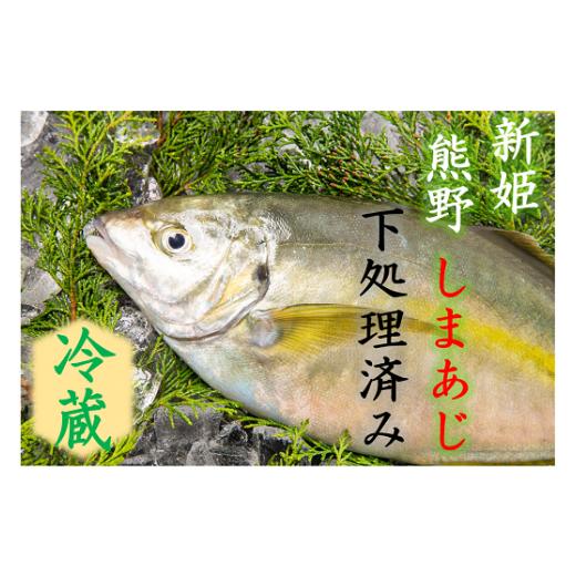 ふるさと納税 旬の鮮魚等 三重県 熊野市 配送日指定可 アジ 新姫熊野しまあじ 1匹 下処理済み 冷蔵 あじ シマアジ 鯵 刺身 お刺身 さしみ 真空 海鮮 魚介 鮮…