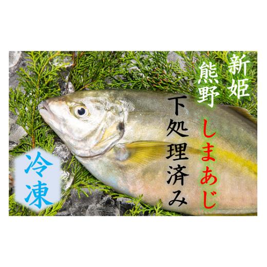 ふるさと納税 旬の鮮魚等 三重県 熊野市 配送日指定可 アジ 新姫熊野しまあじ 1匹 下処理済み 冷凍 あじ シマアジ 鯵 刺身 お刺身 さしみ 真空 海鮮 魚介 鮮…