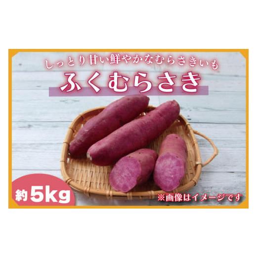 ふるさと納税 野菜類 サツマイモ 茨城県 行方市 2025年11月より順次発送 2025年度産 しっとり甘い鮮やかな紫いも ふくむらさき 約5kg|さつまいも 芋 お芋 ふ…