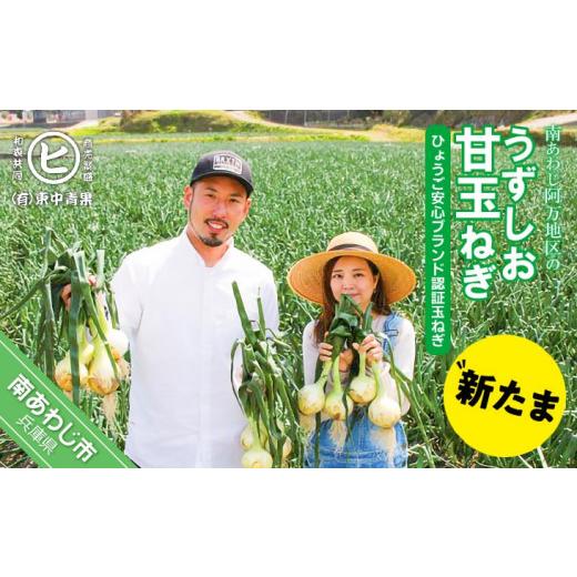 ふるさと納税 野菜類 玉ねぎ 兵庫県 南あわじ市 淡路島産新玉ねぎ うずしお甘玉ねぎ 5kg  配送2月下旬〜6月下旬 うずしお甘玉ねぎ 5kgの画像