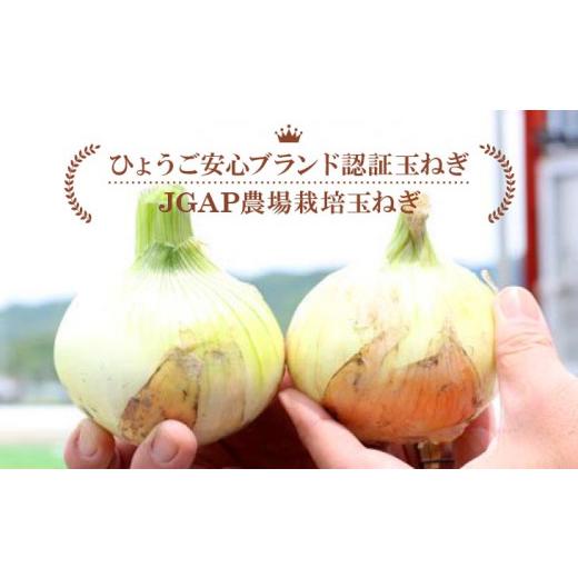 ふるさと納税 野菜類 玉ねぎ 兵庫県 南あわじ市 淡路島産新玉ねぎ うずしお甘玉ねぎ 5kg  配送2月下旬〜6月下旬 うずしお甘玉ねぎ 5kgの画像