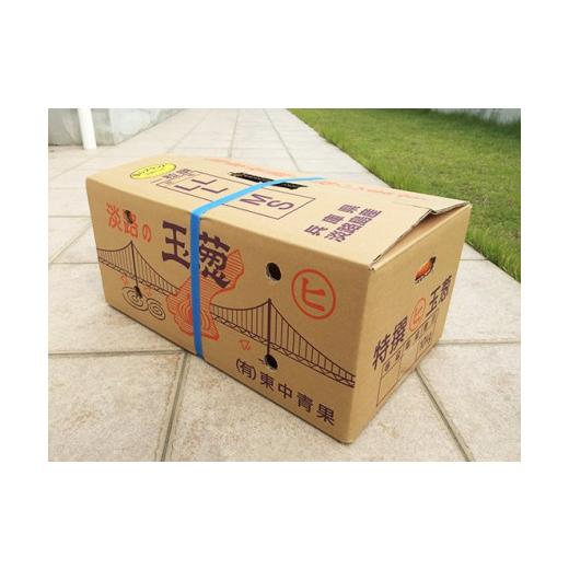 ふるさと納税 野菜類 玉ねぎ 兵庫県 南あわじ市 淡路島産新玉ねぎ うずしお甘玉ねぎ 5kg  配送2月下旬〜6月下旬 うずしお甘玉ねぎ 5kgの画像