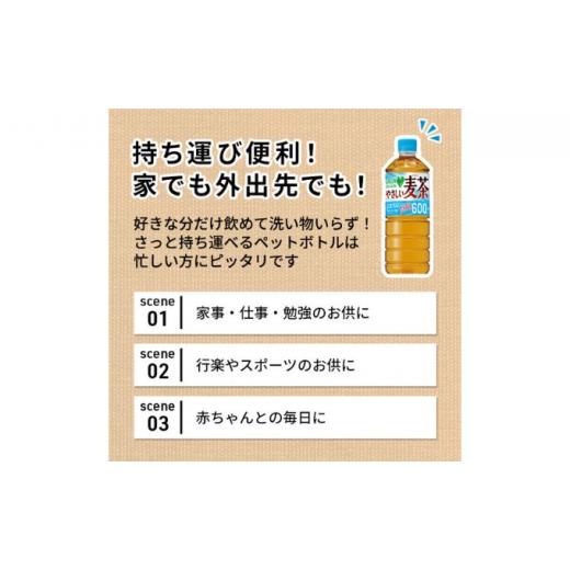 ふるさと納税 神奈川県 綾瀬市 麦茶 定期便 3ヶ月 GREEN DA・KA・RA やさしい麦茶 2L×6本 ペットボトル｜furusatochoice｜06