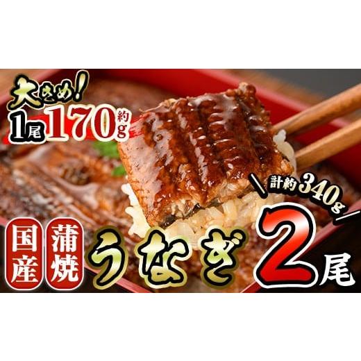 ふるさと納税 うなぎ 宮崎県 門川町 国産 うなぎ 蒲焼 (約170g×2尾) 鰻 タレ かば焼き うな重 うな丼 ひつまぶし 小分け 真空包装 真空パック AW-17 丸正水産…