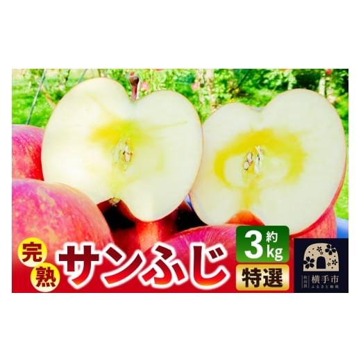 ふるさと納税 りんご 秋田県 横手市 完熟サンふじ特選 約3kg(8〜10個入)りんご