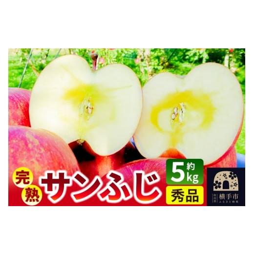 ふるさと納税 りんご 秋田県 横手市 完熟サンふじ秀品 約5kg(16〜20個入)りんご