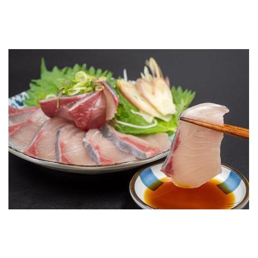 ふるさと納税 鯛・金目鯛・のどぐろ 高知県 須崎市 厳選 産地直送 ブリ 12ヶ月 定期便 下処理 有 鰤 刺身 冷蔵 12回 12ヵ月 1年 一年 ブランド 乙女ブリ 刺し…_2