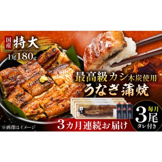 ふるさと納税 ウナギ 佐賀県 武雄市  3回定期便 国産 ウナギ 本格炭火焼 特大 3尾 計540g（180g×3尾）／すみまる UDH014 手焼き 凝結 鰻 鰻 蒲焼き かば…