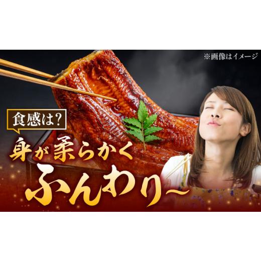 ふるさと納税 ウナギ 佐賀県 武雄市  3回定期便 国産 ウナギ 本格炭火焼 特大 3尾 計540g（180g×3尾）／すみまる UDH014 手焼き 凝結 鰻 鰻 蒲焼き かば…