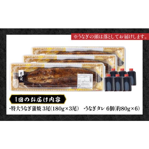 ふるさと納税 ウナギ 佐賀県 武雄市  3回定期便 国産 ウナギ 本格炭火焼 特大 3尾 計540g（180g×3尾）／すみまる UDH014 手焼き 凝結 鰻 鰻 蒲焼き かば…