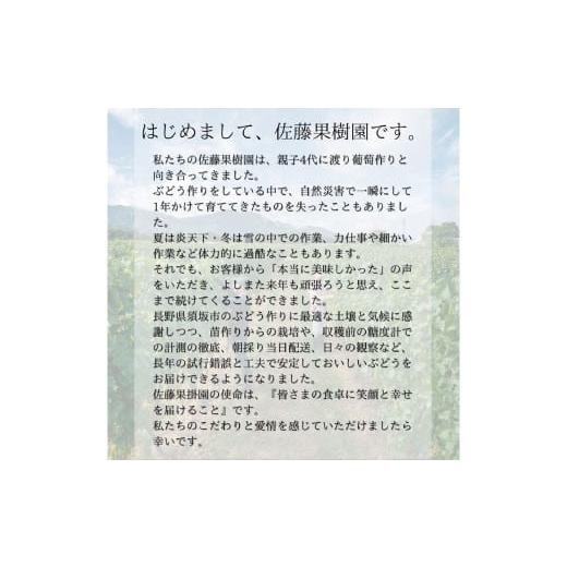 ふるさと納税 ぶどう 長野県 須坂市 No.5657-3476 クイーンルージュ