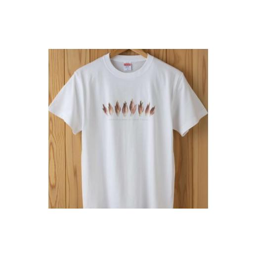 ふるさと納税 服 新潟県 十日町市 0333世界で唯一 着る山菜 みょうがTシャツ・ホワイト XLサイズ XLサイズ