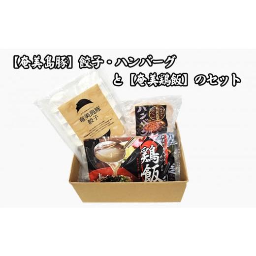 ふるさと納税 ハム・ソーセージ・ハンバーグ 鹿児島県 龍郷町 奄美鶏飯 と 奄美島豚 餃子・ハンバーグのセット 鹿児島県 奄美群島 奄美大島 龍郷町 国産 奄美…