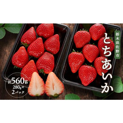 ふるさと納税 いちご 栃木県 佐野市 新品種栃木県佐野産とちあいか 280g×2パック 1372413