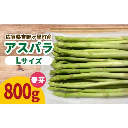ふるさと納税 野菜類 アスパラガス 佐賀県 吉野ヶ里町 限定30箱 先行予約 / 受付は3/25まで 26年2月下旬〜4月上旬順次発送 吉野ヶ里産アスパラガス 春芽 800…