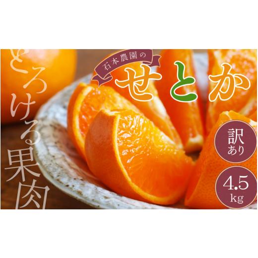 ふるさと納税 みかん・柑橘類 三重県 紀宝町 先行予約 訳あり品 石本農園の せとか 4.5kg M-4L サイズおまかせ 2027年2月中旬から下旬頃に順次発送予定 / せ…