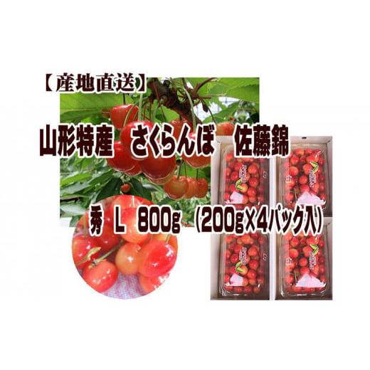 ふるさと納税 山形県 山形市 山形特産 さくらんぼ 佐藤錦 L 800g(200g×4パック入) [令和6年産先行予約]FU22-972 フルーツ くだもの 果物 山形 山形県 山形…