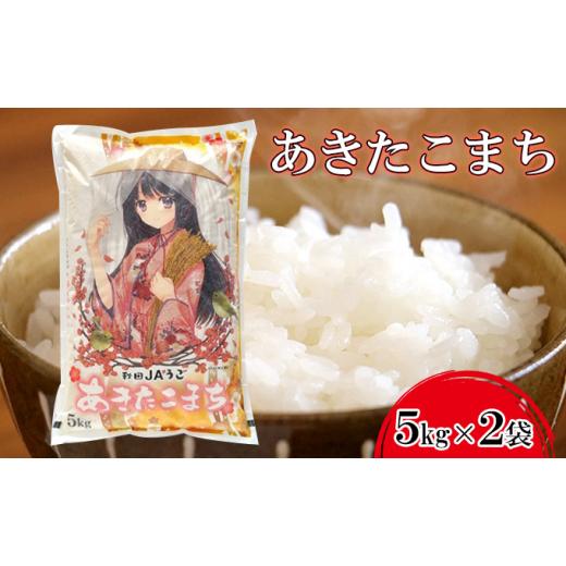 ふるさと納税 米 あきたこまち 秋田県 羽後町 11月発送開始 令和7年度産 美少女イラスト 粒がひと回り大きい あきたこまち10kg(5kg×2袋)単一原料米 米 お米…