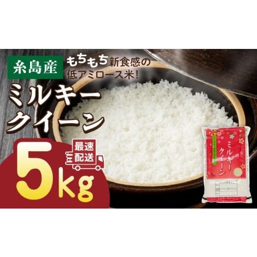 ふるさと納税 米 ミルキークイーン 福岡県 糸島市 白米 精米方法が選べる 令和7年産 ミルキークイーン 5kg ( 1袋 ) [糸島] 玄米・精米専門店 新飼宗一郎…