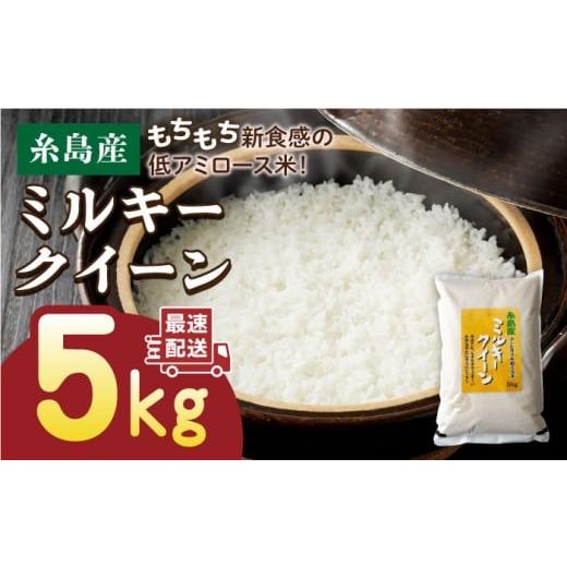 ふるさと納税 米 ミルキークイーン 福岡県 糸島市 玄米 精米方法が選べる 令和7年産 ミルキークイーン 5kg ( 1袋 ) [糸島] 玄米・精米専門店 新飼宗一郎…