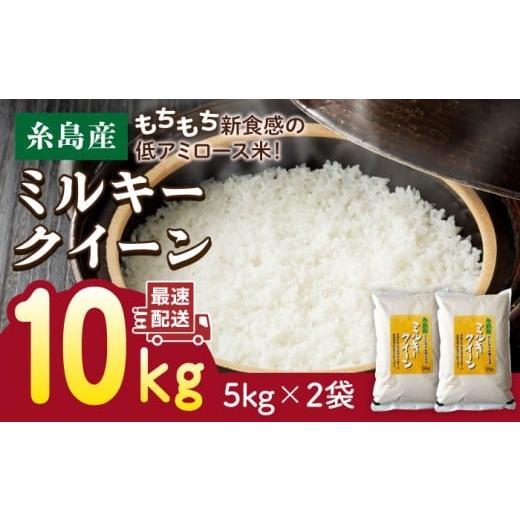 ふるさと納税 米 ミルキークイーン 福岡県 糸島市 白米 精米方法が選べる 令和7年産 ミルキークイーン 10kg(5kg×2袋) 糸島 / 玄米・精米専門店 新飼宗一…