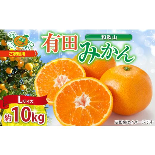 ふるさと納税 果物類 みかん 和歌山県 湯浅町 ZJ6091_ 2026年先行予約 ご家庭用 和歌山 有田みかん 約10kg Lサイズ 湯浅町