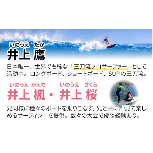 ふるさと納税 福井県 坂井市 世界3位のプロサーファー井上鷹と世界1位の妹二人独占三国の海を一日遊び倒そう！ [T-6051]｜furusatochoice｜03