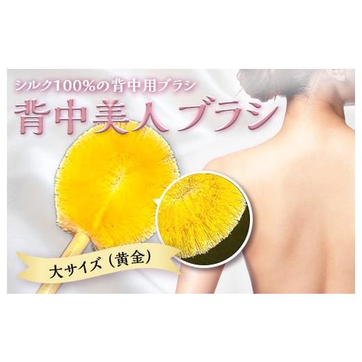 ふるさと納税 美容 群馬県 富岡市 [シルク100%] 背中美人ブラシ 大サイズ(黄金) 背中 ケア ブラシ 国産 絹糸 シルク ぐんま黄金 黄金 角質除去 美容 F20E-8…
