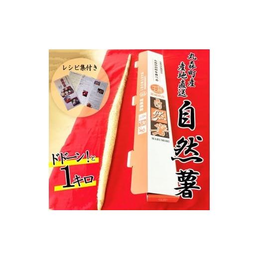 ふるさと納税 野菜類 宮城県 丸森町 丸森町産 自然薯1kg 専用化粧箱入り レシピ集付き|冬季限定 贈り物へもぴったり ドドーンと1kgお届け 12103
