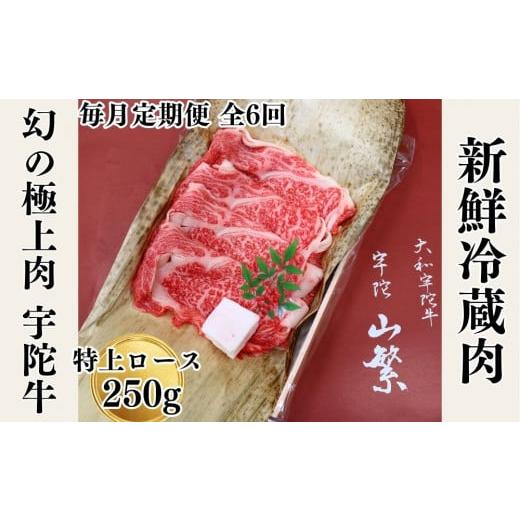 ふるさと納税 牛肉 ロース 奈良県 宇陀市 毎月定期便全6回 名産 認定肉 宇陀牛 国産 黒毛和牛 特上 ロース すき焼き 約250g / 山繁 ふるさと納税 牛肉 牛丼 …