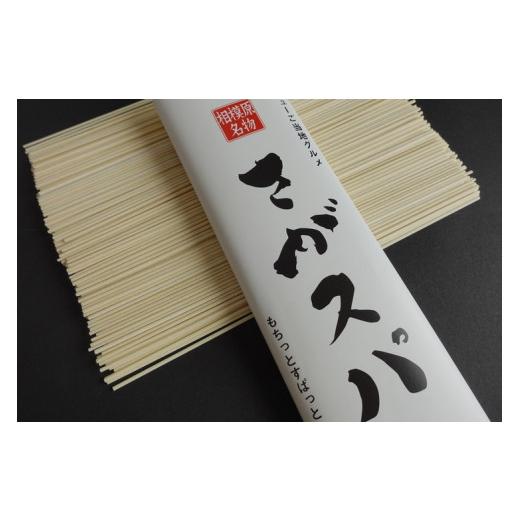 ふるさと納税 パスタ 乾めん 神奈川県 相模原市 さがスパ 5袋 | パスタ スパゲッティ 乾麺 ご当地 もちもち 相模原市 神奈川県 計1kg_2