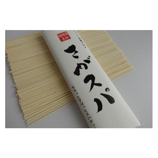 ふるさと納税 パスタ 乾めん 神奈川県 相模原市 さがスパ 5袋 | パスタ スパゲッティ 乾麺 ご当地 もちもち 相模原市 神奈川県 計1kg_3