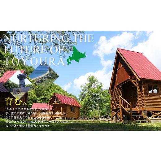 ふるさと納税 米 ゆめぴりか 北海道 豊浦町 令和7年産 定期配送3ヵ月 ホクレン ゆめぴりか 無洗米4kg（2kg×2） 精米 白米 無洗米 お米 米 こめ コメ ごはん …_8