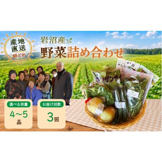 ふるさと納税 セット・詰合せ 宮城県 岩沼市 定期便3か月 産地直送 朝どれ 新鮮野菜 4〜5種類 詰め合わせ セット おまかせ 旬 季節の野菜 春野菜 夏野菜 秋野…